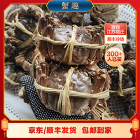 【活蟹】蟹趣网兜螃蟹 鲜活大闸蟹公母蟹 水产生鲜中秋礼盒 全公蟹1.7-2两 6只