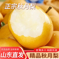 时茂 正宗山东莱阳秋月梨新鲜水果整箱批发当季中秋礼盒 5斤巨无霸净重4.5斤丨单果250g+