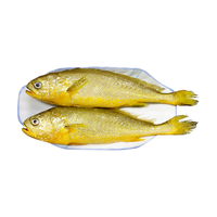 海角7号 宁德大黄鱼 700g(2条装) 鲜冻