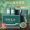 天洲溪绿茶 信阳毛尖250g2025新茶明前嫩芽 中秋茶叶礼盒送人 【品质好茶】2025新茶信阳毛尖