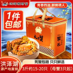 洪泽湖螃蟹 洪泽湖大闸蟹 鲜活螃蟹 海鲜水产生鲜礼盒装 整箱3斤约15-20只（母蟹3只起）
