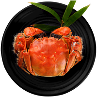 【活蟹】水淼鲜 洪湖大闸蟹鲜活螃蟹生鲜海鲜水产年货 全公4.0-4.3两 6只装