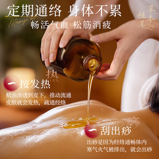 艾草按摩精油全身通经络开背刮痧推拿生姜身体油spa免洗润肤油