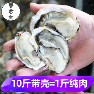 蟹君宝鲜活生蚝现剥生蚝肉新鲜牡蛎肉蛎蝗去壳纯蚝仔肉海鲜水产 5盒/生蚝肉 每盒约15个 送蒜蓉