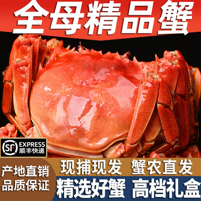 移动端：蟹鸿祚 江苏六月黄大闸蟹 1050g 12只 礼盒装