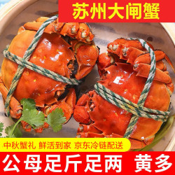 神行 大闸蟹全母蟹鲜活去绳足重螃蟹生鲜河蟹中秋礼盒 全母蟹2.3-2.6两 6只装