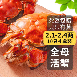乾澄 大闸蟹 全母2.0-2.3两 8只 足斤足两鲜活六月黄螃蟹生鲜海鲜礼盒装 全母蟹2.0-2.3两 8只