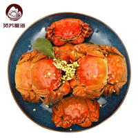 姑苏蟹澄 大闸蟹螃蟹现货鲜活特大公蟹母蟹 活蟹生鲜礼盒 公4.2-4.5两母2.7-3.0两 5对