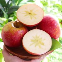 新疆阿克苏冰糖苹果5斤冰糖心丑苹果10斤精选大果 5斤 80mm(含)-85mm(不含)