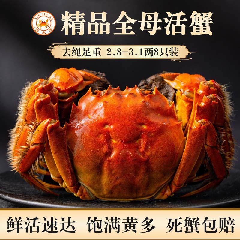 【活蟹】蟹家客 8只装 全母2.8-3.1两 螃蟹鲜活大闸蟹海鲜生鲜源头直发