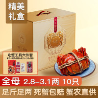 莲花蟹农 大闸蟹鲜活2.8-3.1两10只全母螃蟹鲜活六月黄海鲜礼盒源头直发 朋友相聚-六月黄2.8-3.1两10只