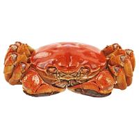 【活蟹】8-16只大闸蟹鲜活全母特大螃蟹中秋湖蟹水产河蟹