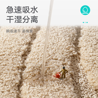 大江 DAJIANG 洗手间地垫浴室吸水垫卫生间门口脚垫厕所防滑垫洗澡间卫浴门垫  50x80cm