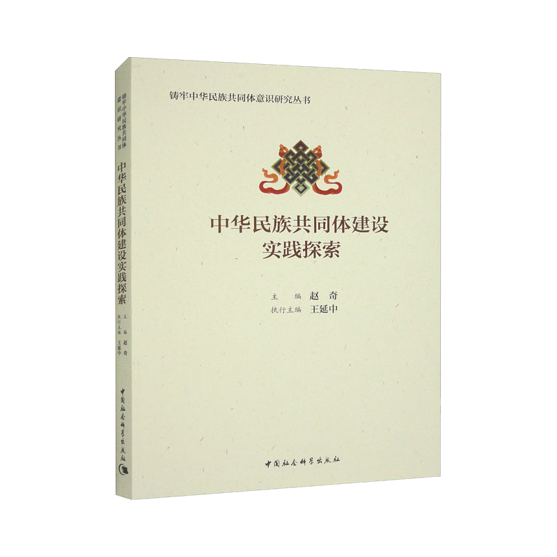 中华民族共同体建设实践探索