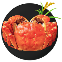 【活蟹】辽唤 盘锦河蟹 鲜活稻田蟹大闸蟹顶盖肥螃蟹礼盒 10只全母 1.4-1.7两