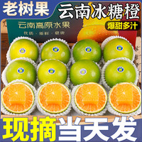 粤迎 云南冰糖橙 新鲜水果