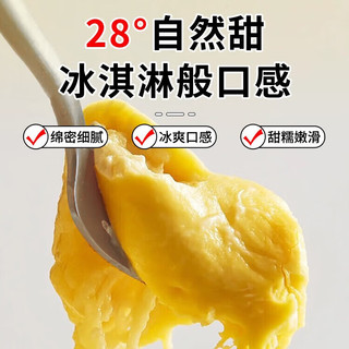 【经济实惠】榴莲肉树熟小猫山王干尧榴莲肉去壳留核新货 榴莲肉800g*1包