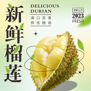 【经济实惠】榴莲肉树熟小猫山王干尧榴莲肉去壳留核新货 榴莲肉800g*1包