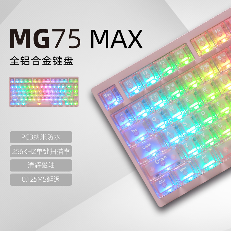 MG75MAX电泳粉(星闪480)