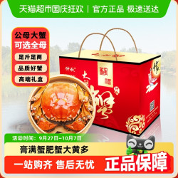 仲秋 大闸蟹礼盒全母6只鲜活螃蟹新鲜水产