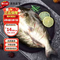 巢三珍 斑点叉尾鮰鱼400g 生鲜食材 鱼类原料