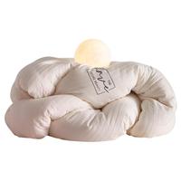 梦特娇(MONTAGUT)80%大豆被棉被子冬季空调被秋冬被芯双人春秋被5斤 150*200cm