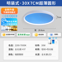 移动端：NIOYE 67-6格蓝天灯 明装吸顶灯 30cm 圆形