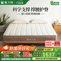 麻大师乳胶床垫1.8x2米十大席梦思软硬两用护脊椎黄麻床垫子品牌 M款 软硬两用 全家适用 厚约24CM 1200mm*1900mm