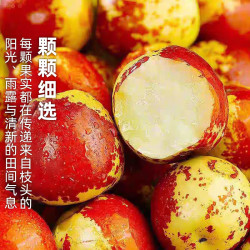 京运达 正宗陕西大荔冰糖冬枣大果新鲜应当季整箱水果礼盒脆甜枣子斤