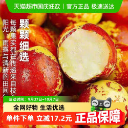 京运达 陕西大荔冬枣 脆甜 0.9斤 蜜饯果干
