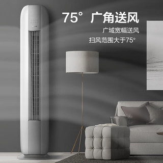 格力 KFR-50LW/NhJe1BG 新一级能效变频 2匹 立柜式空调