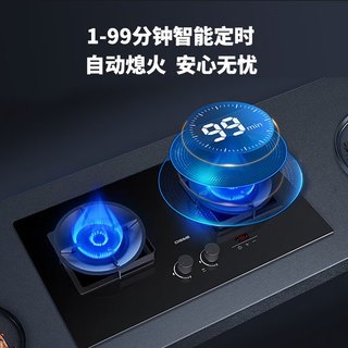 德意 JZY-728T 4.6KW大火力 液化气 双眼燃气灶