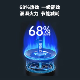 德意 JZY-728T 4.6KW大火力 液化气 双眼燃气灶