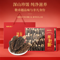 福東海 福东海 云南羊肚菌礼盒 5-8cm 120g 菌菇干货