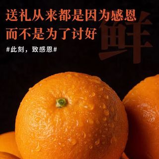 集南鲜  赣南脐橙 江西赣州手剥柑橘橙子当季新鲜水果橙子整箱礼盒 【状元橙】彩箱净9斤 220-330g 净重4.5斤特级（单果85mm+）