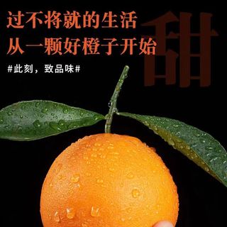 集南鲜  赣南脐橙 江西赣州手剥柑橘橙子当季新鲜水果橙子整箱礼盒 【状元橙】彩箱净9斤 220-330g 净重4.5斤特级（单果85mm+）