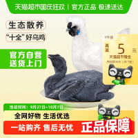 温氏 供港十全乌骨鸡1kg