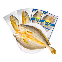 三都港黄鱼鲞国产宁德原产地黄花鱼冷冻生鲜海鲜大黄鱼三去免杀烹饪食材 【直发】黄鱼鲞组合4包共1000g