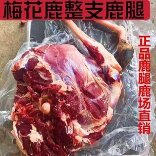芬氏 梅花鹿肉 每日现杀带皮鹿排 3斤
