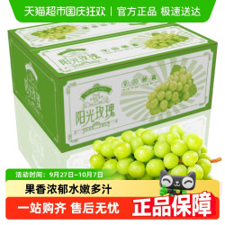 PANZHIHUA FRUIT 四川阳光玫瑰葡萄新鲜香印青提子现摘生鲜新鲜水果整箱