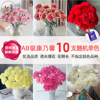 康乃馨 悦多彩10支（随机色）