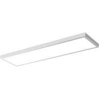 灯灵 全光谱护眼 40-50W 冷光 300*1200mm LED平板灯