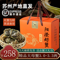 【活蟹】阳澄小斌大闸蟹 特大精挑螃蟹公蟹母蟹 生鲜水产中秋礼盒 苏州精挑蟹