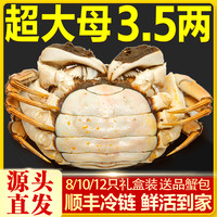 [活蟹]特大10只大闸蟹鲜活螃蟹全母蟹官方旗舰店阳澄礼盒河蟹湖鲜
