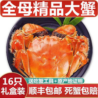 【活蟹】湖鲜阳澄大闸蟹 鲜活特大蟹 全母蟹顺丰中秋节 全母蟹