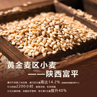 陕富陕西山药刀削面速食油泼炸酱宽面条用挂面袋装整箱