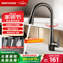 浪鲸 SKTC610B 不锈钢冷热抽拉龙头 灰