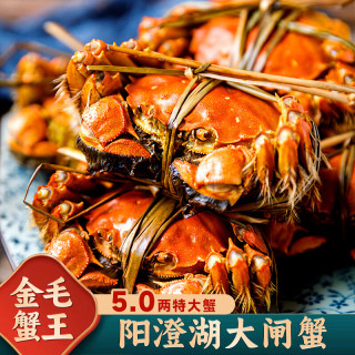 【活蟹】阳澄逍遥 阳澄湖大闸蟹鲜活螃蟹礼盒公5两母4两4对8只河蟹生鲜水产中秋礼盒