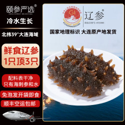 颐参严选 大连即食海参 500g