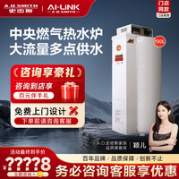  A.O.SMITH/史密斯 室外型 燃气中央热水器  天然气 10L以下